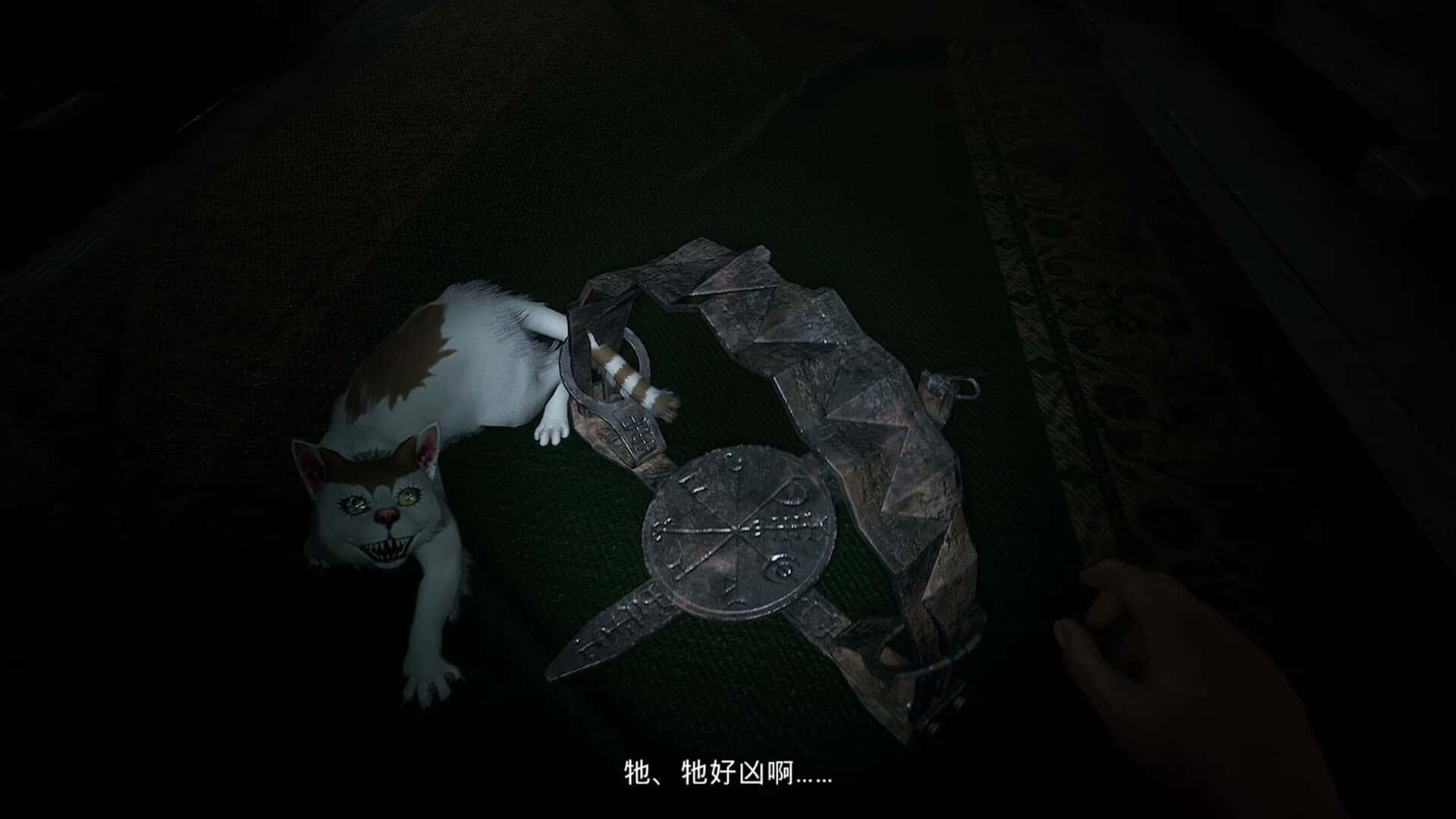 视觉数据1